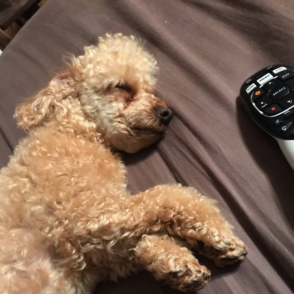 Meet your Posher, Yulonda